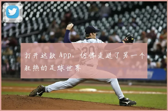 打开这款 App，仿佛走进了另一个狂热的足球世界