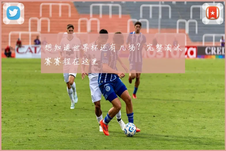 想知道世界杯还有几场？完整淘汰赛赛程在这里