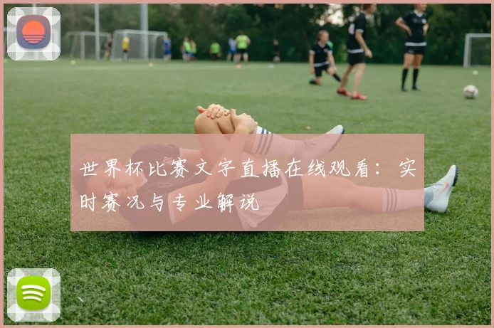 世界杯比赛文字直播在线观看：实时赛况与专业解说