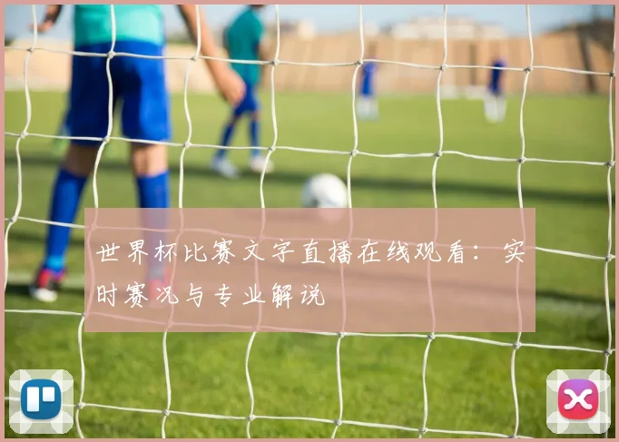 世界杯比赛文字直播在线观看：实时赛况与专业解说