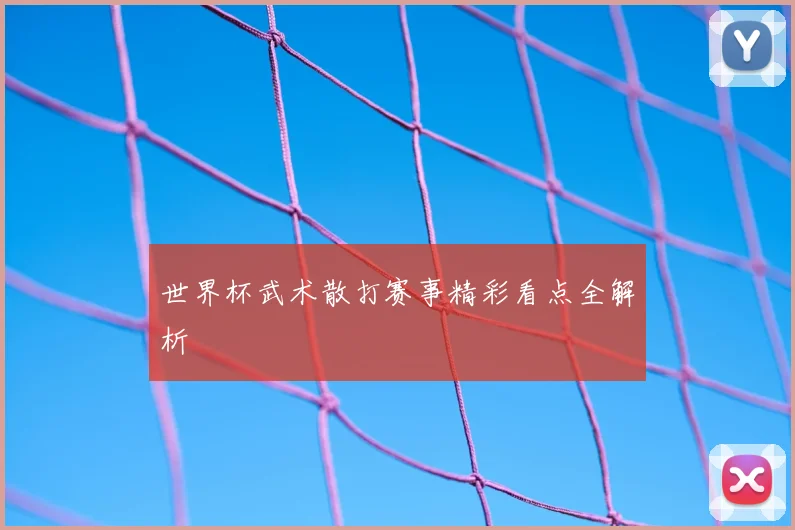 世界杯武术散打赛事精彩看点全解析