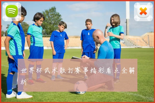 世界杯武术散打赛事精彩看点全解析
