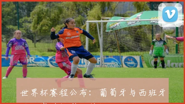 世界杯赛程公布:葡萄牙与西班牙的比赛时间引发热议