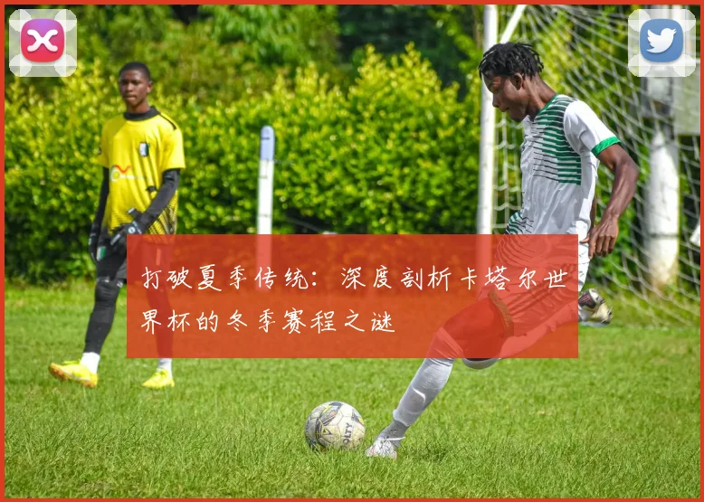 打破夏季传统：深度剖析卡塔尔世界杯的冬季赛程之谜