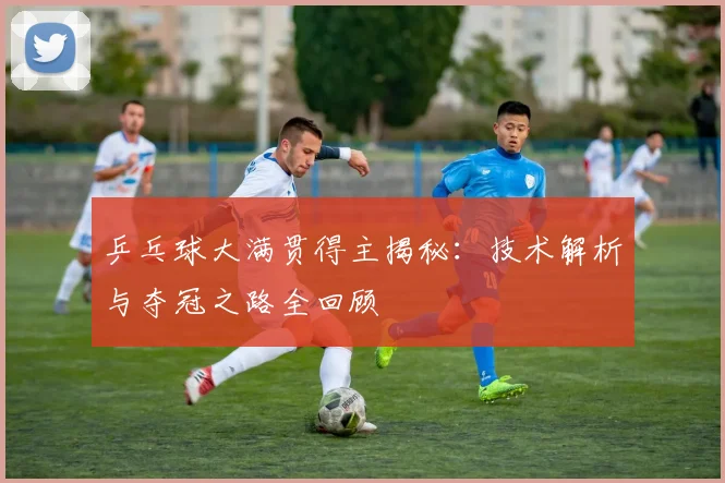 乒乓球大满贯得主揭秘：技术解析与夺冠之路全回顾