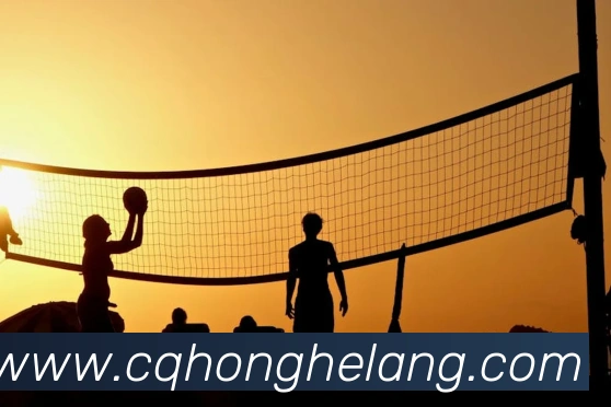 必一运动体育app官网APP 高清赛事图